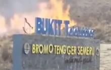 Gunung Bromo Kebakaran Gara-gara Prewedding, Begini Nasib si Calon Pengantin