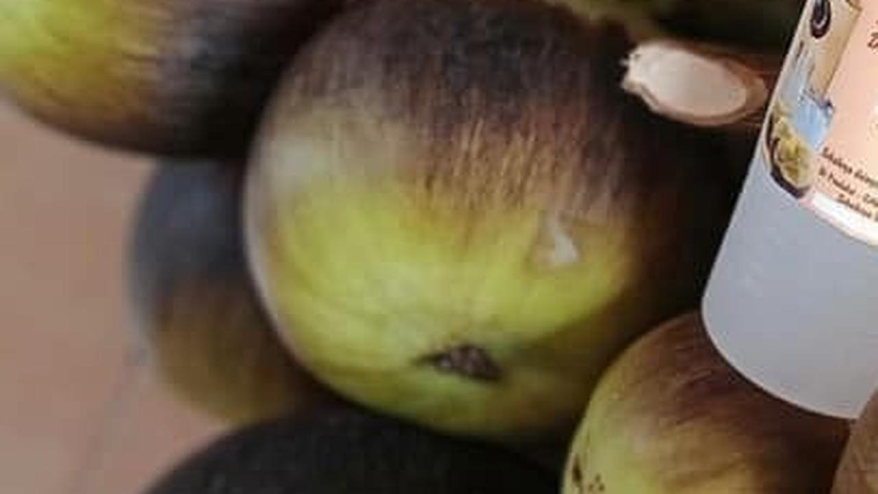 Manfaat Buah Lontar untuk Kesehatan, Punya Nutrisi Tinggi dan Bisa Cegah Penyakit Kronis