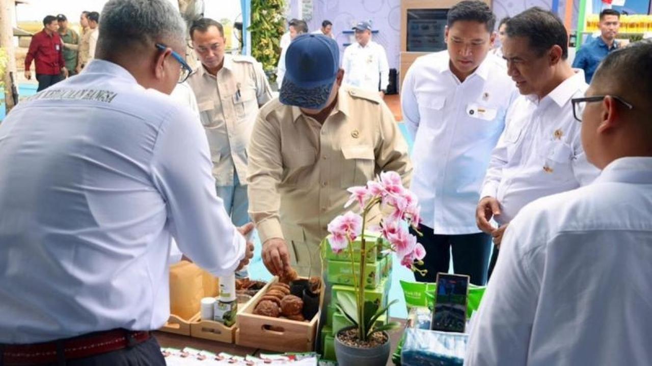 PTPN IV PalmCo Siap Hilirisasi Gambir, Wujudkan Kebijakan Presiden Prabowo untuk Nilai Tambah Nasional