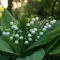 Mengenal Bunga Lily of the Valley, Si Lonceng Putih Simbol Kemurnian Kesayangan Kerajaan Inggris