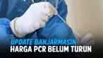 THUMBNAIL PCR