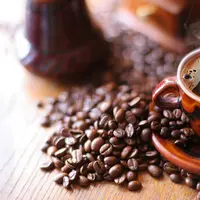 [Bintang] Kafe Untuk Orang-Orang yang Punya Pohon Uang