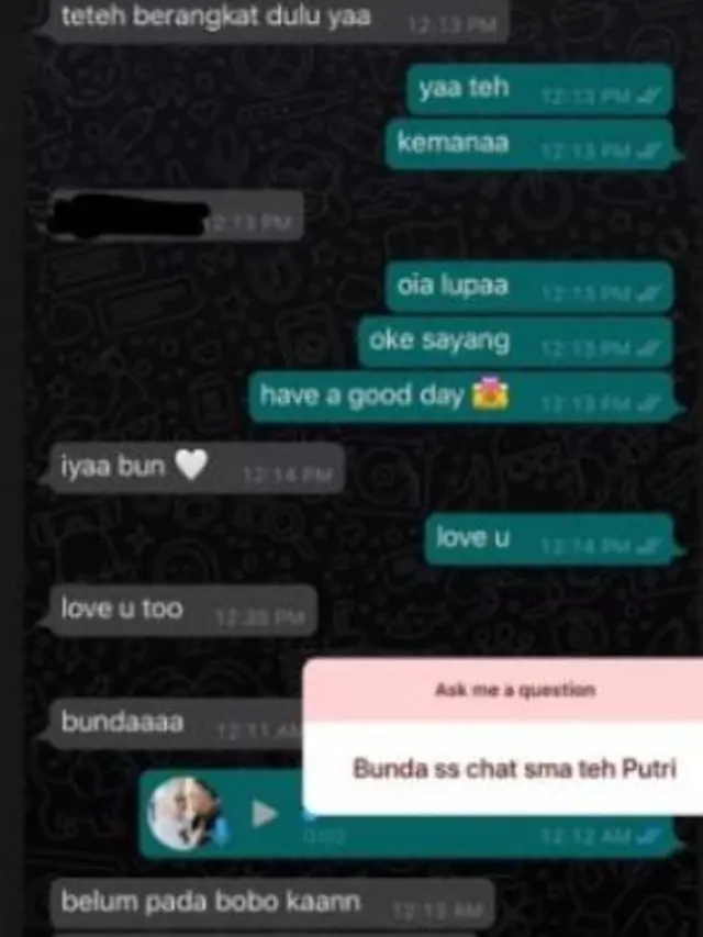 Chat Nathalie Holscher dan Putri Delina