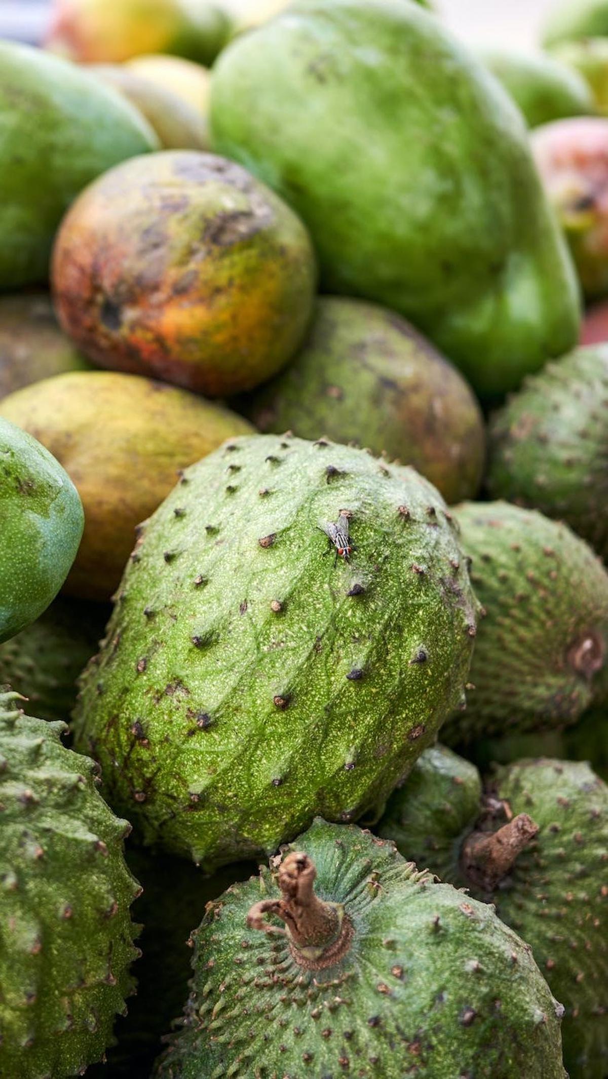 5. Menjaga kesehatan mata
Vitamin C dan E, seng, dan beta-karoten dalam sirsak dapat menjaga kesehatan mata.

"Antioksidan dalam sirsak berkontribusi pada kesehatan mata dengan mengurangi risiko katarak dan degenerasi makula," kata Prof. Daniel White, 
