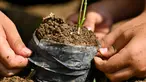 Anak-anak sekolah menanam bibit pohon enjelang Hari Hutan Internasionaldi sebuah sekolah dasar Islam di Banda Aceh pada 16 Maret 2023.(AFP/CHAIDEER MAHYUDDIN)