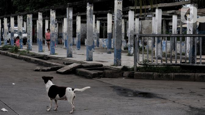 Seekor anjing berada di Terminal Pulogadung yang tidak difungsikan akibat digantikan shelter Bus Transjakarta. Karya foto ini sedang dipamerkan dalam pameran foto dengan tema 