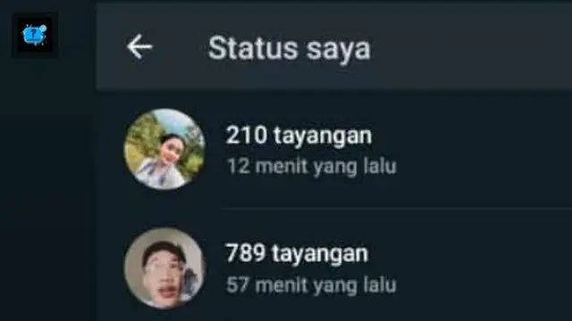 Bak Seleb, 6 Potret Story WhatsApp Sampai Ribuan Ini Bikin Melongo