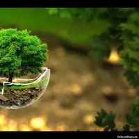 15 Efek Visual Canggih yang Berasal dari Alam