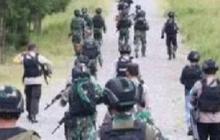 Baku Tembak dengan TNI-Polri, 5 KKB yang Suka Bikin Teror di Pegunungan Bintang Tewas