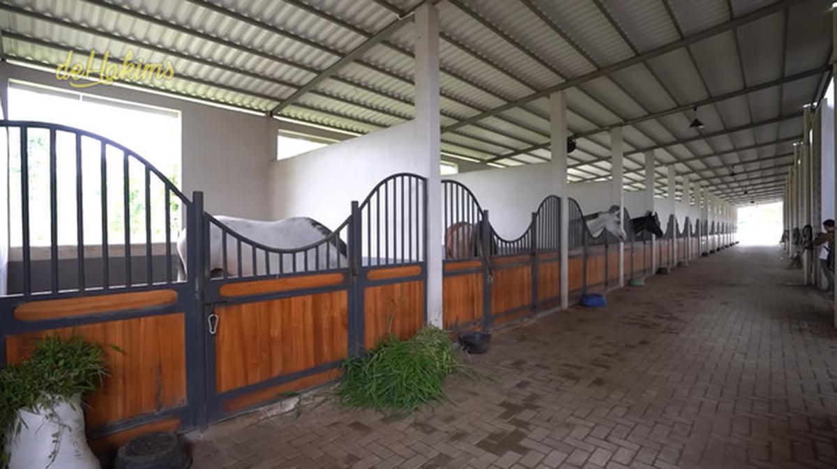 8 Potret Stable Kuda Nabila Syakieb yang Modern dengan Fasilitas Mewah