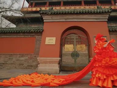 Seorang wanita bernama Kong Ning mengenakan kostum dari plastik berbentuk kerucut selama protes yang dilakukannya di Beijing, Cina, (7/12). Ini merupakan bagian protes terhadap polusi udara yang semakin parah di Cina. (REUTERS/Damir Sagolj)