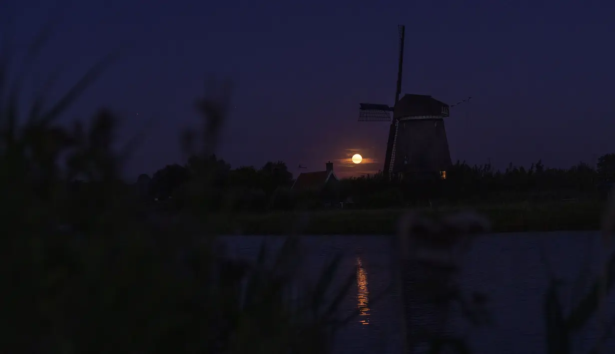Super Moon terbit di atas kincir angin di Oostzaan, Belanda, Kamis (11/8/2022). Bulan Purnama Agustus 2022 akan menjadi fenomena Supermoon terakhir tahun ini. Bulan Purnama Agustus dijuluki "Sturgeon Moon". (AP Photo/Peter Dejong)