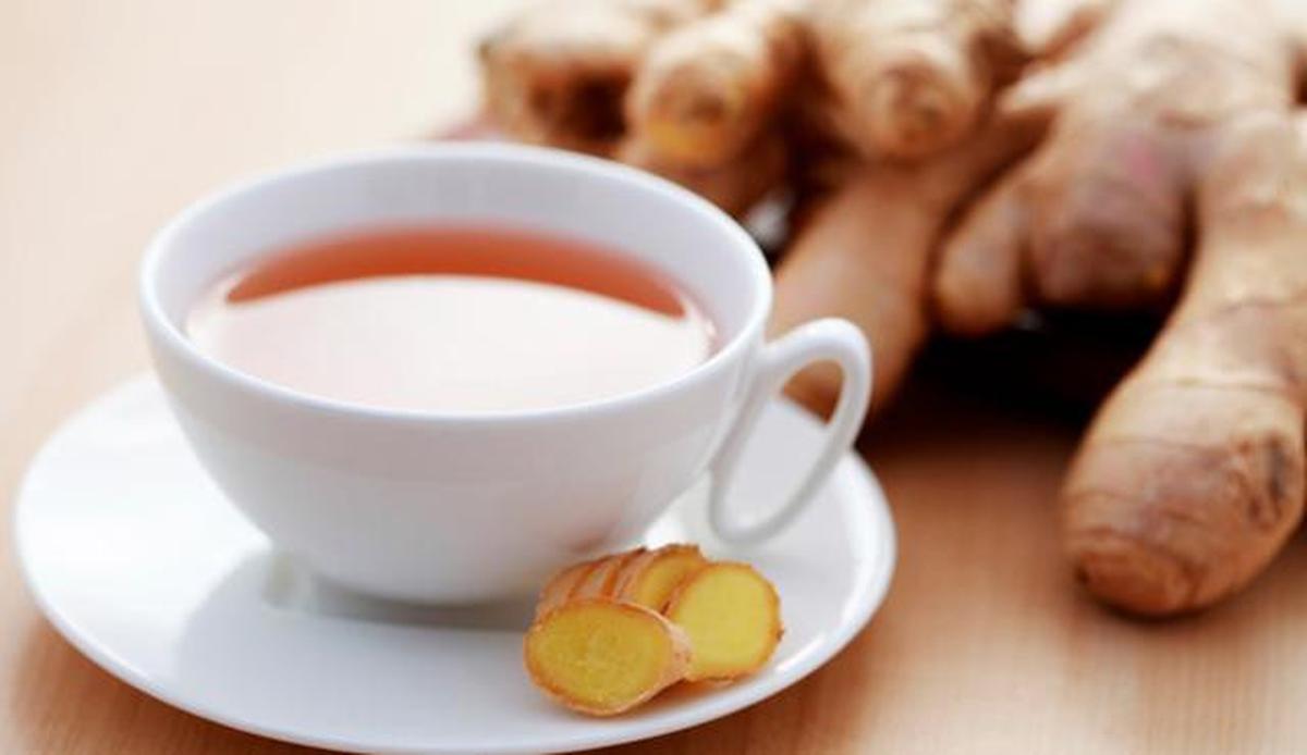 8 Minuman Pembersih Ginjal Alami, Rahasia Detoksifikasi Tubuh