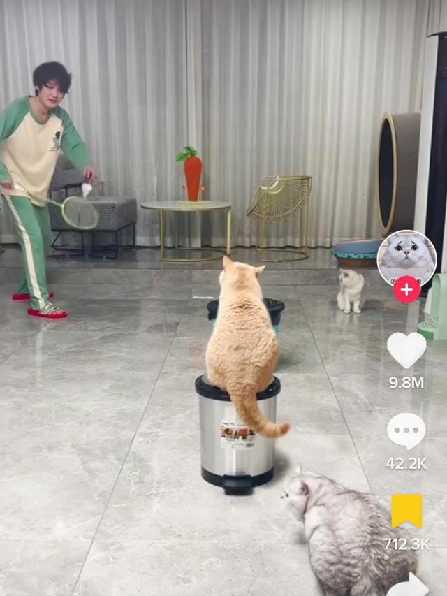 Potret Aksi Kucing Ikut Olahraga Bak Atlet Netizen: Lulusan Konoha Emang Mantap