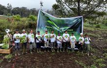 Penanaman Pohon PalmCo Masif di 12 Provinsi, Upaya Cegah Degradasi Lingkungan dan Bencana Hidrologis