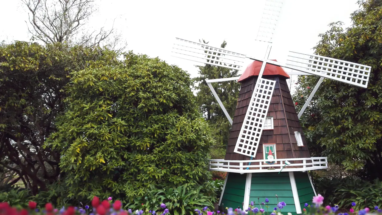 Kebun tulip Tesselar di Silvan, Melbourne, Australia. (Liputan6.com/Tanti Yulianingsih)