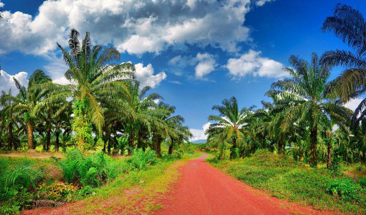 UEA juga merupakan mitra dagang terbesar kedua bagi Indonesia, dengan total perdagangan USD5,06 miliar.&nbsp;