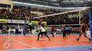 Pemain voli Jakarta Elektrik PLN bersiap melakukan smash saat pertandingan melawan Jakarta Pertamina Energi di Grand Final Proliga 2017 di GOR Among Rogo, Yogyakarta (23/4). (Liputan6.com/Johan Tallo)