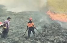 Apa Itu Flare, Pemicu Kebakaran Bukit Teletubbies Bromo saat Foto Prewed