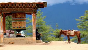 5 Rekomendasi Wisata Wellness di Bhutan bagi Para Pencari Ketenangan