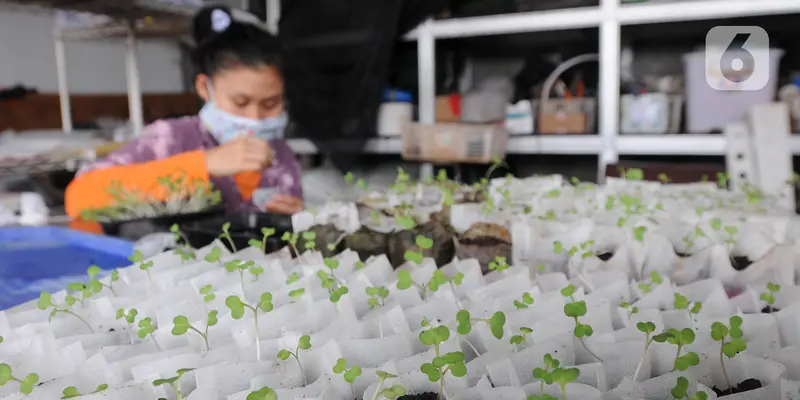 FOTO: Semangat Petani Penyandang Autisme