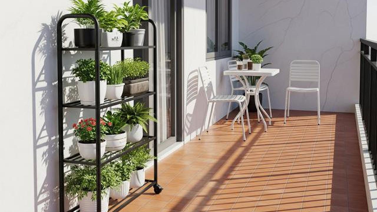 Rak Beroda (Caster Shelving Unit)/Ide Desain Teras Kecil Bisa Buat tempat Jemur Tanaman (Sumber: gemini.com)