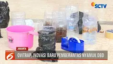 Ovitrap dinilai efektif memberantas DBD dengan memutus siklus perkembangan nyamuk aedes aegypti.