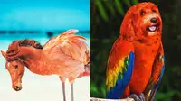 6 Editan Foto Jika Hewan Lain Jadi Burung Ini Kreatif, Unik Banget (IG/pixelmatedanimals)