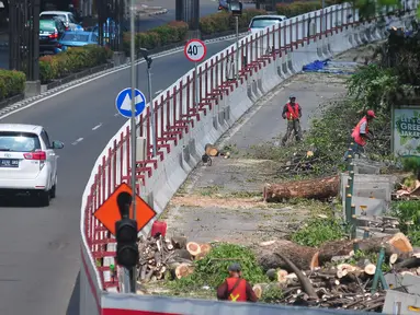 Pekerja menebang pohon untuk menyelesaikan proyek kereta api ringan atau Light Rail Transit (LRT) di kawasan Kuningan, Jakarta, Rabu (26/7). Penebangan dilakukan untuk pembangunan proyek LRT Cawang-Dukuh Atas sepanjang 10,5 km. (Liputan6.com/Helmi Afandi)