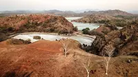 Mengenal Bukit Tuamese, Raja Ampatnya NTT
