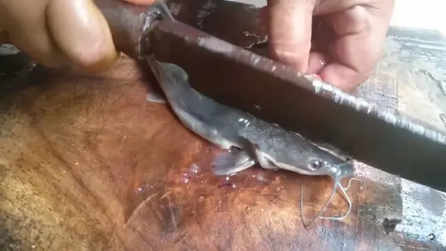 Tanpa Tepung, Ini Cara Buat Lele Goreng yang Lurus dan Krispi