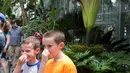 Dua orang anak berpose sambil menutup hidungnya di depan bunga bangkai raksasa Titan Arum di Botanic Garden, Washington, Amerika Serikat, Senin (2/8). Bunga bangkai raksasa dari Sumatera ini tak lama lagi akan mekar sempurna. (Chris KLEPONIS/AFP)