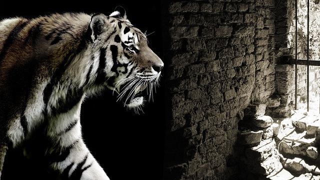 Ilustrasi eksploitasi