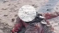 Mayat Tanpa Kepala Mengapung di Pantai Lampung
