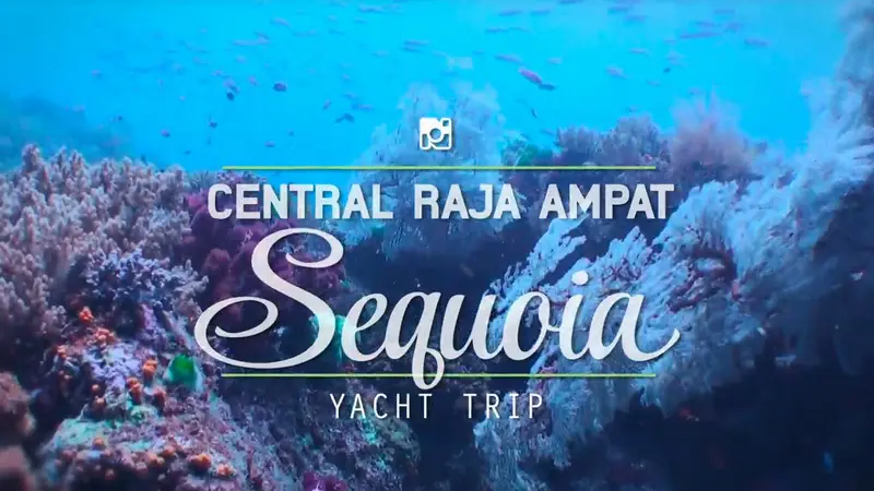 Menjelajahi Central Raja Ampat dengan Sequoia! sumberfoto: nala_rinaldo