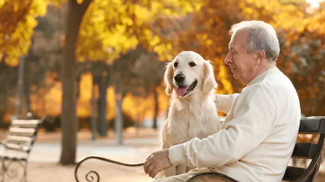 pemilik dan hewan peliharaan