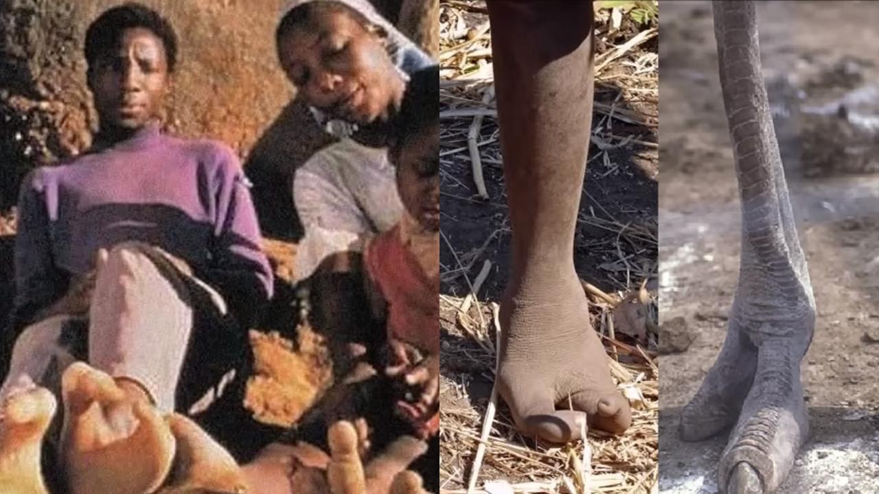 Suku Vadoma di Zimbabwe