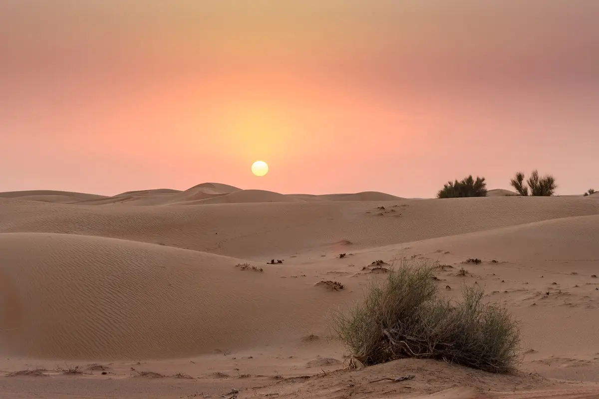 Ilustrasi gurun Dubai (pixabay)