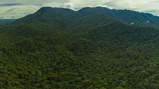 Taman Nasional Gunung Palung