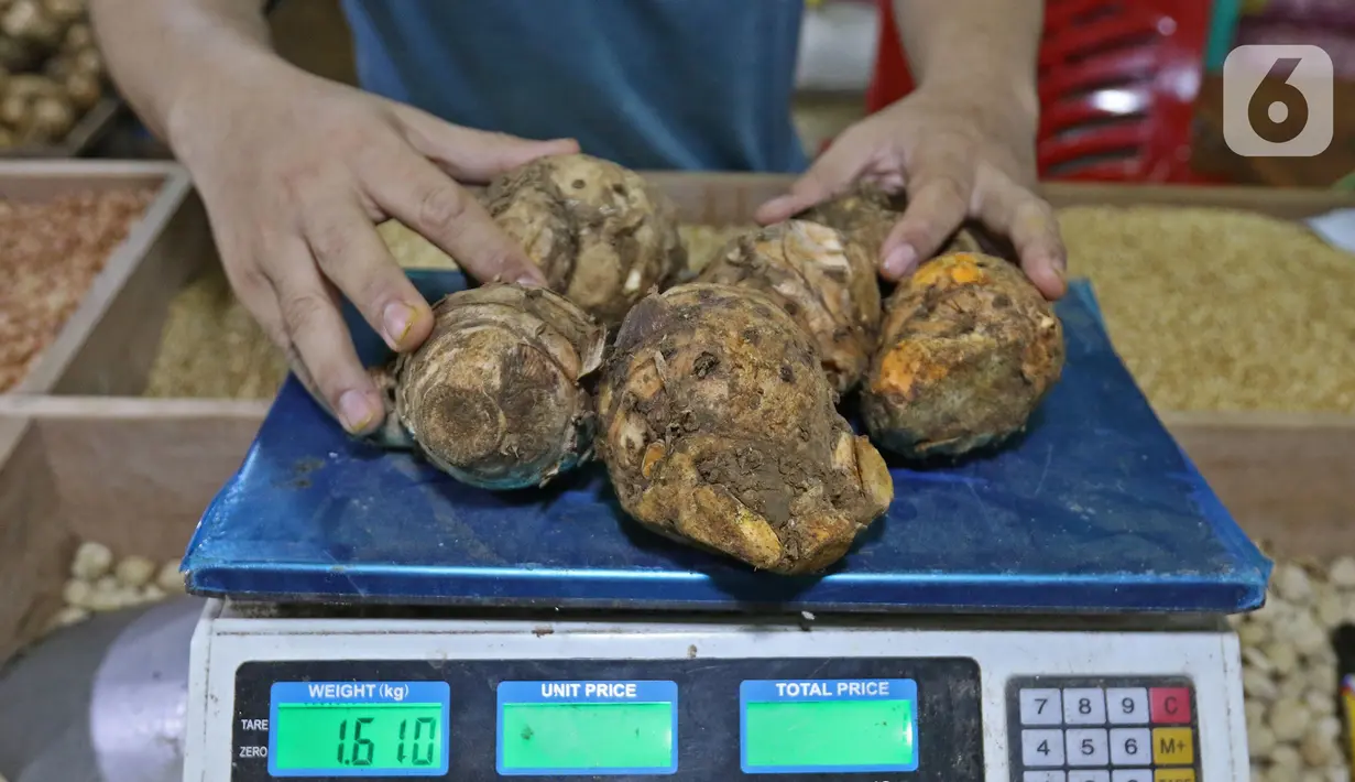 Pedagang menimbang temulawak di Pasar Induk Kramat Jati, Jakarta, Kamis (5/3/2020). Harga temulawak yang awalnya Rp 10 ribu perkilogram saat ini dibanderol Rp 40 ribu karena dipercaya mampu menangkal penyebaran virus corona Covid-19 yang sudah masuk Indonesia. (Liputan6.com/Herman Zakharia)