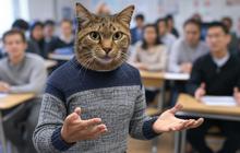 Bertingkah Seperti Kucing Saat Mengajar di Kelas, Guru di Australia Ini Dipecat