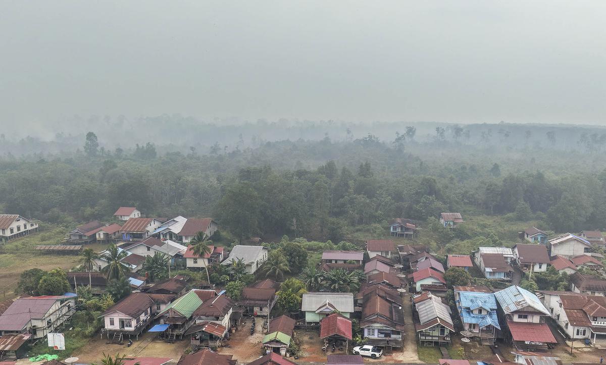 Kebakaran Hutan Terus Meluas di Kalimantan Barat