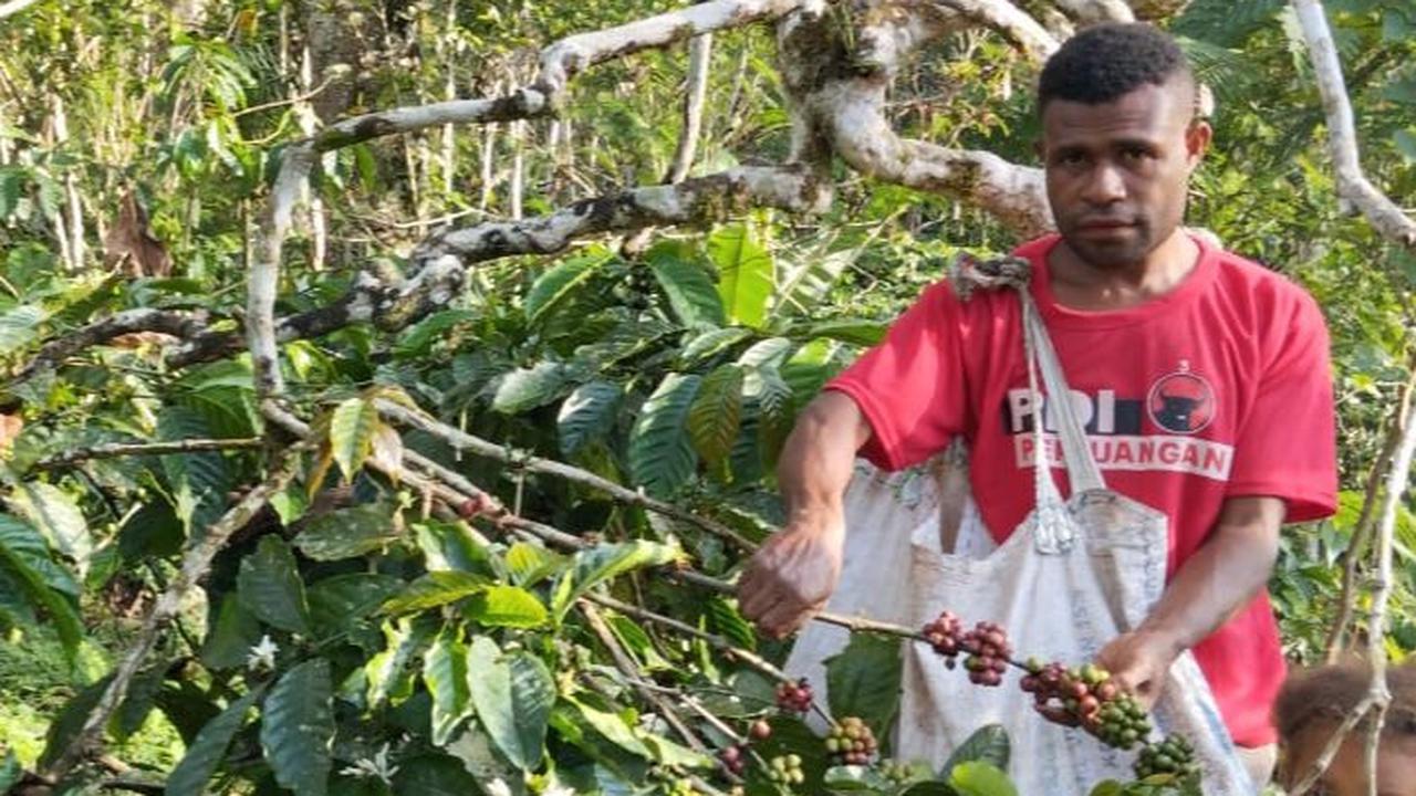 Kelompok Usaha Rimba Kakupi Ambaidiru juga mendapatkan pembinaan, khususnya untuk para petani.