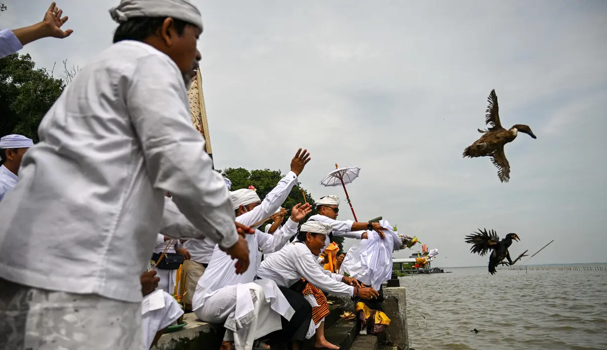 Setelah sampai di laut, pemimpin ritual akan melarung sesaji berupa hewan ternak serta bunga yang diletakkan di atas anyaman pandan sembari membacakan doa-doa. (JUNI KRISWANTO/AFP)