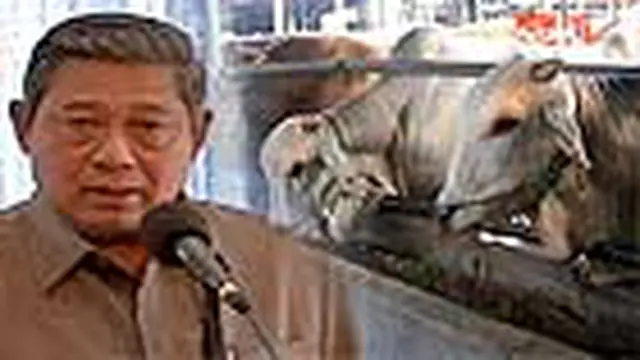 Presiden Yudhoyono Minta Suplai Daging Dijaga