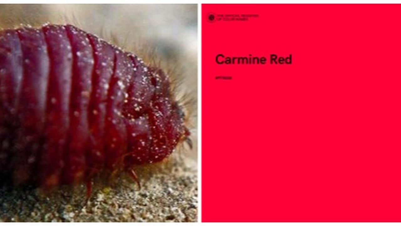 Carmine Red