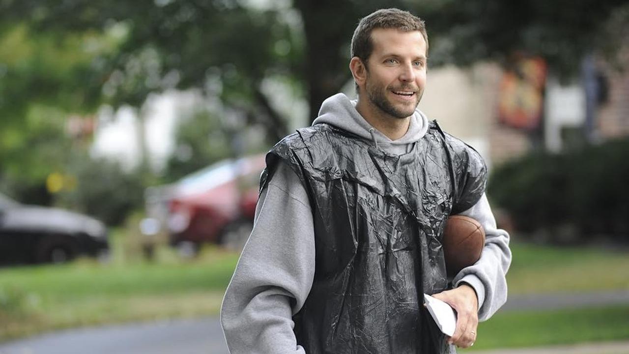 Silver Linings Playbook (2012)