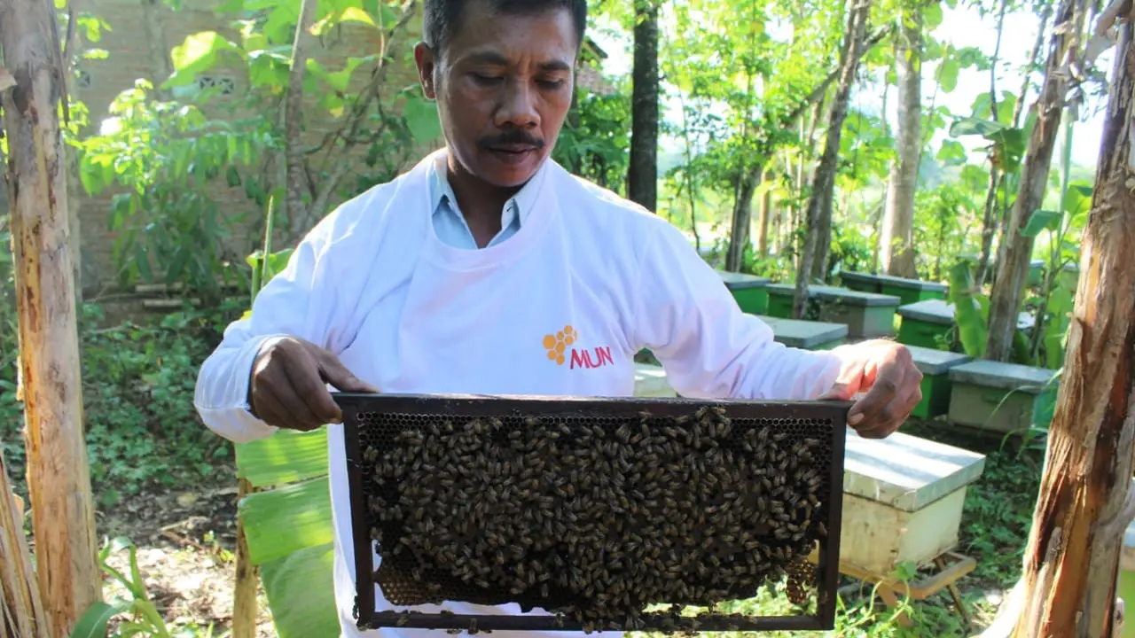 Madu Indonesia