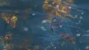 Seekor tukik (anak penyu) berenang bebas usai dilepas ke Samudera Atlantik di Boca Raton, Florida (27/7). Kegiatan ini digagas oleh US Cost Guard dan LSM Gumbo-Limbo Nature Center. (Joe Raedle/Getty Images/AFP)