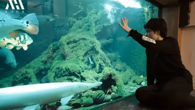 Atta Halilintar main ke rumah Irfan Hakim (Instagram/attahalilintar)